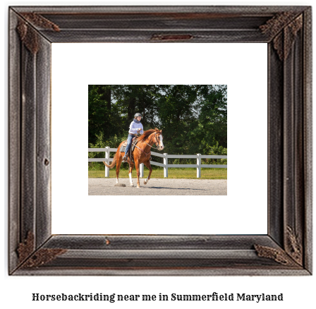 horseback riding near me in Summerfield, Maryland